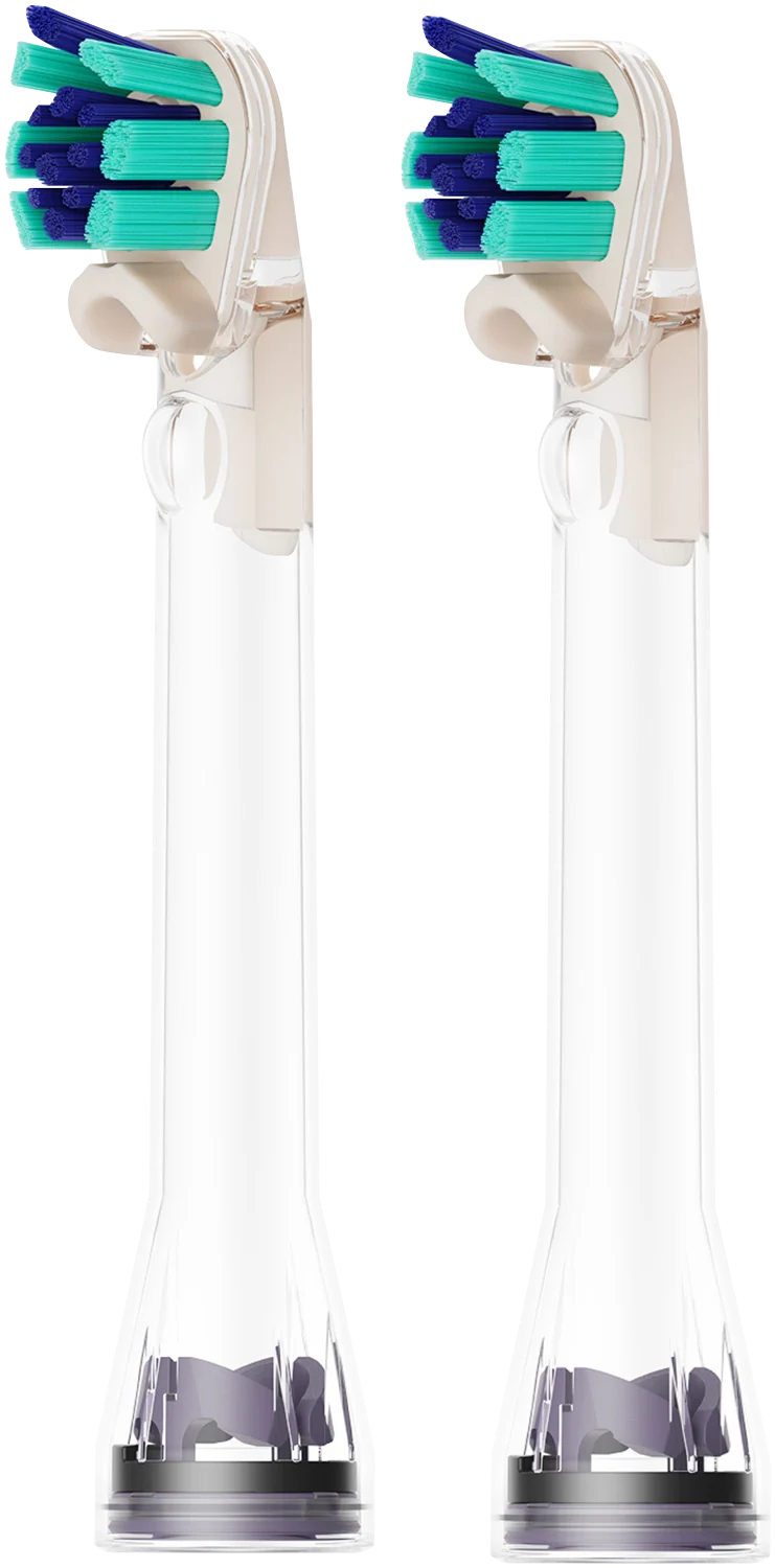 Dyson 2 Pack Dual Bristle Brush Head Regular