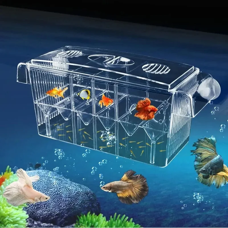 Aquarium Broederij Box Dubbellaags Met 4 Compartimenten Transparant
