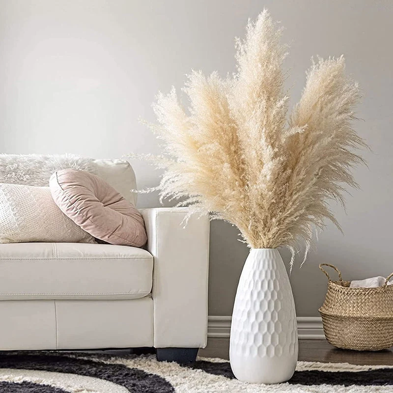 Gedroogde Pampagras Pluimen 10-Delige Set Natuurlijk Decoratief Siergras | Sansoti