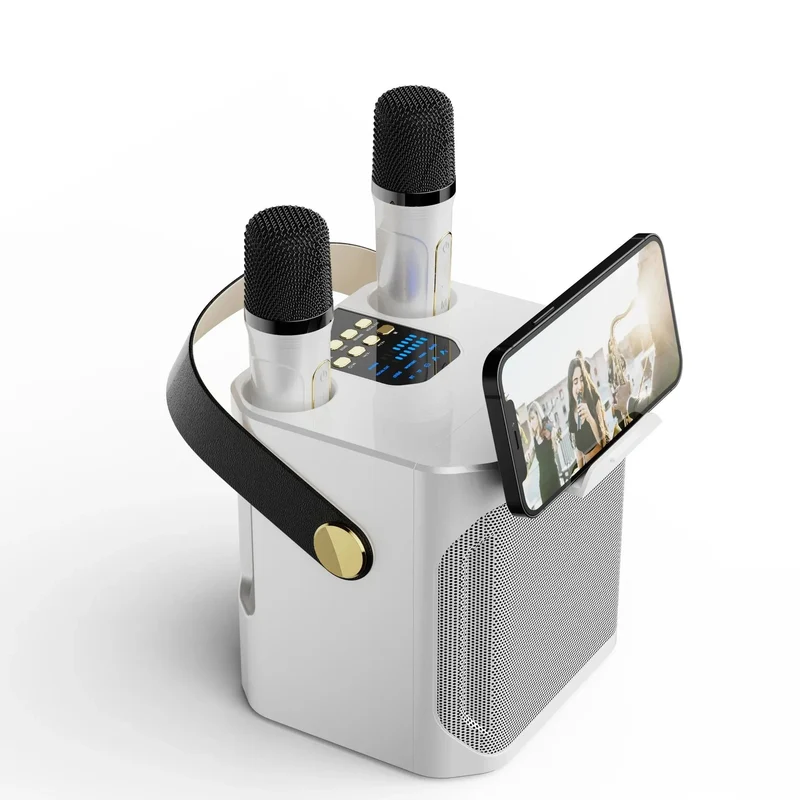 Karaoke Bluetooth Luidspreker Met 2 Microfoons 360° Stereo Surround | Sansoti