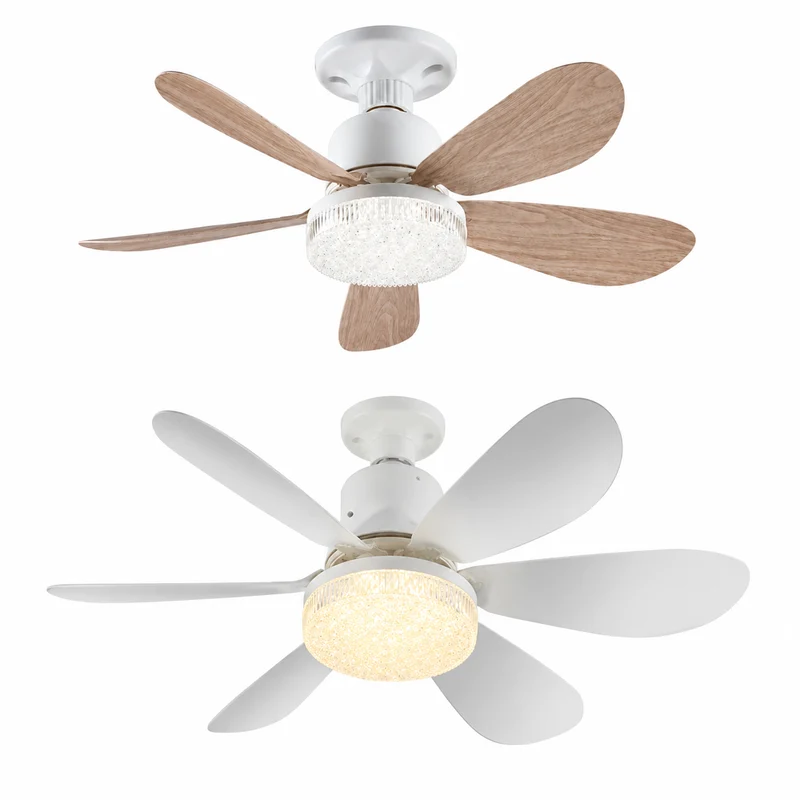 Draagbare Ventilator met Afstandsbediening en LED-Licht