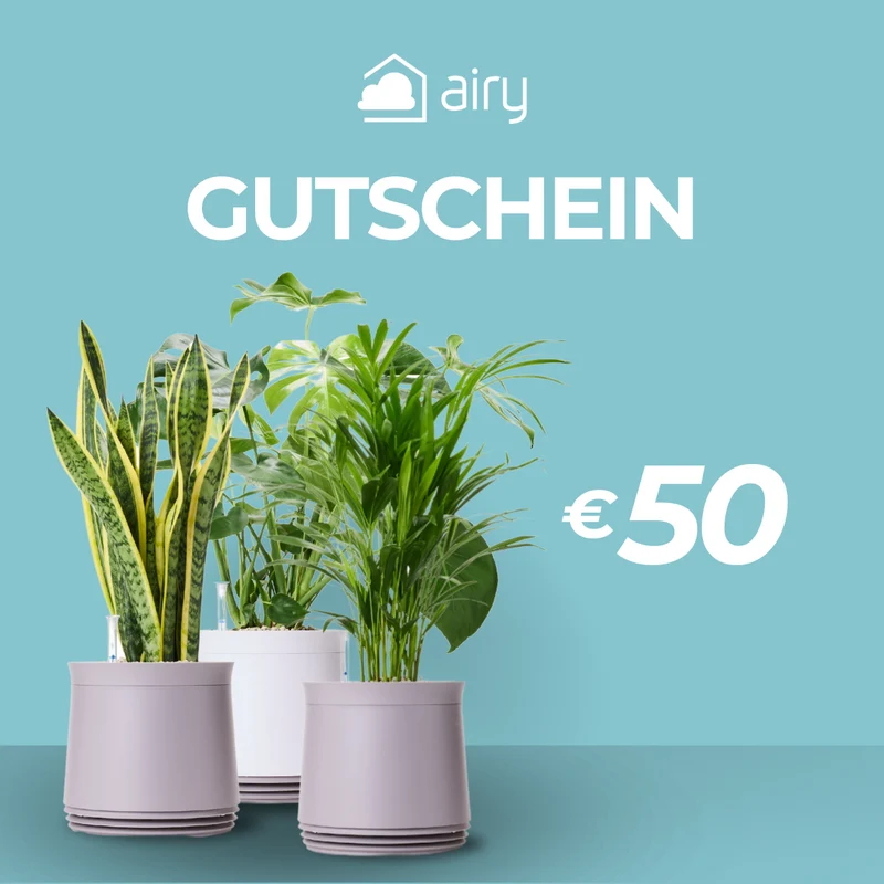 AIRY Geschenkgutschein