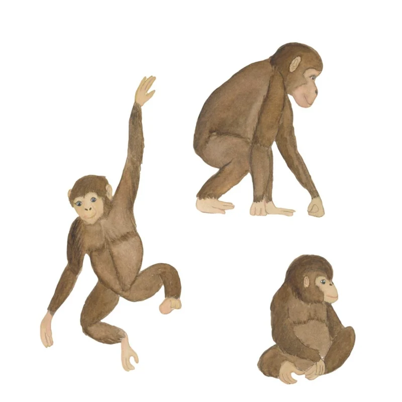 That's Mine Muursticker Monkeys Multi Onesize
