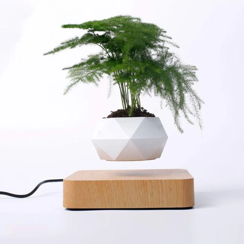 Johl Design - Zwevende Plant