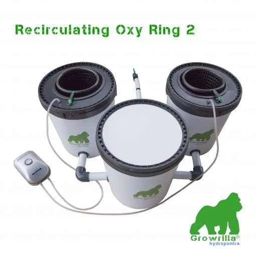 Growrilla RDWC Oxy Ring 2-Pot Hydroponisch RDWC Systeem – Recirculerend DWC voor 80×80 cm Kweektent
