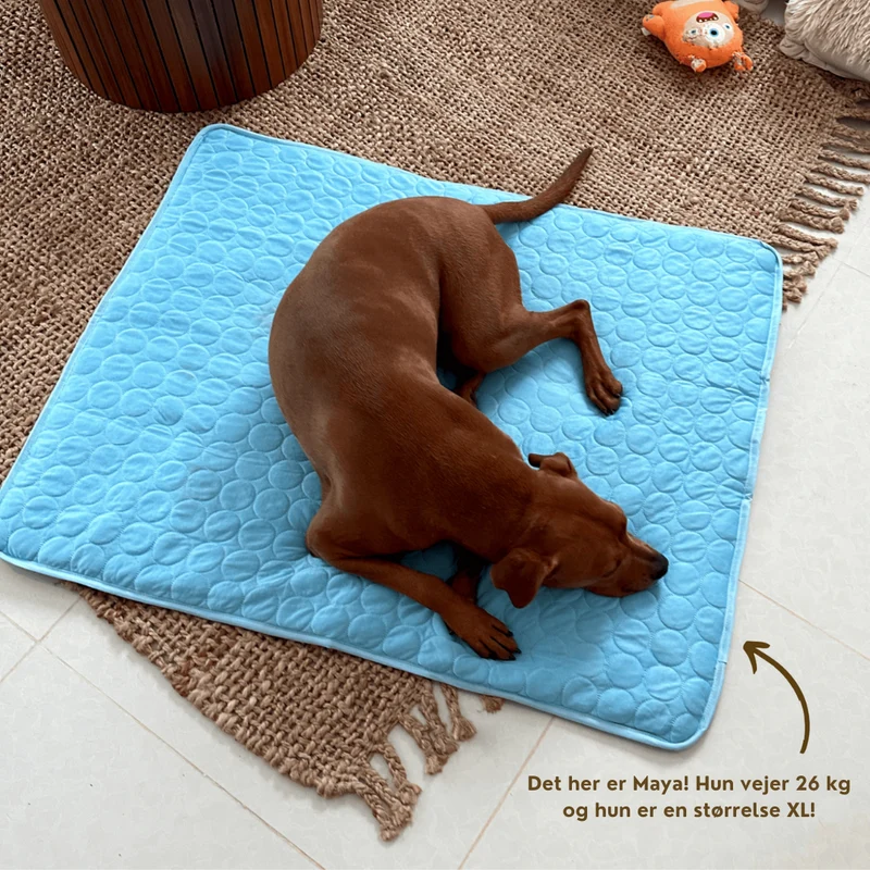Koelmat voor Honden | Houdt Je Hond Koel & Comfortabel Hele Zomer