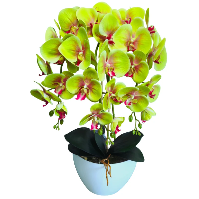 Orchidée artificielle Damich, verte, en caoutchouc, 3pgz