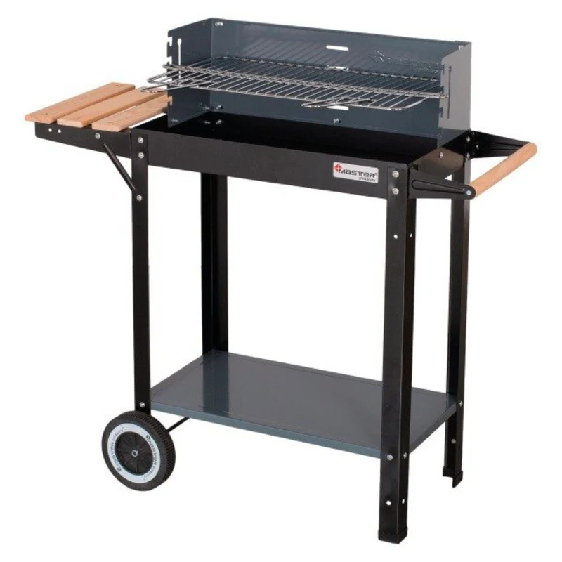 Barbecue avec plateau à charbon rectangulaire 53 x 27 cm Master Grill