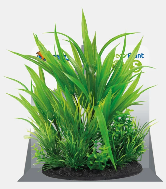 SF DECO PLANT S NR 6