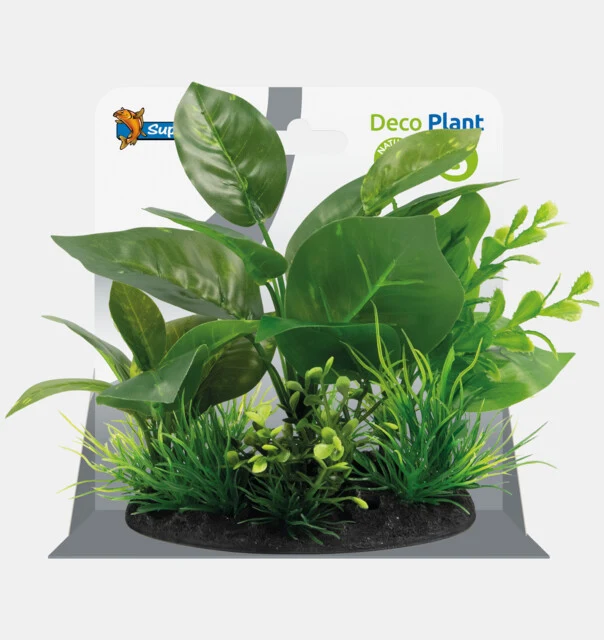 SF DECO PLANT S NR 5