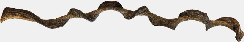 REPTO JUNGLE WOOD 95 CM