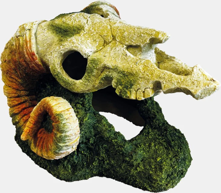 REPTO DECO GOAT SKULL