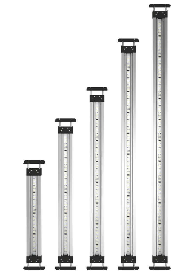Oase MotionControl LED set