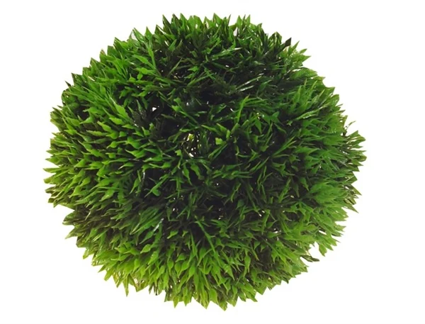 HOBBY DECORATIE AQUA PLANT BALL